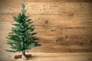 An unadorned Christmas tree, a Naked Tree