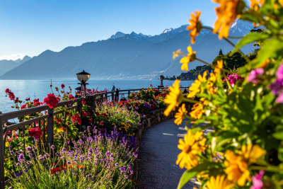 People want to see more gardens than weeds, to stay connected to friends and family, and to live without fear. 