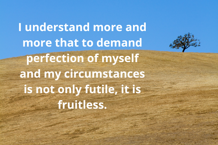 I understand more and more that to demand perfection of myself and my circumstances is not only futile, it is fruitless.